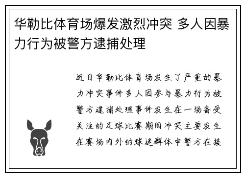 华勒比体育场爆发激烈冲突 多人因暴力行为被警方逮捕处理